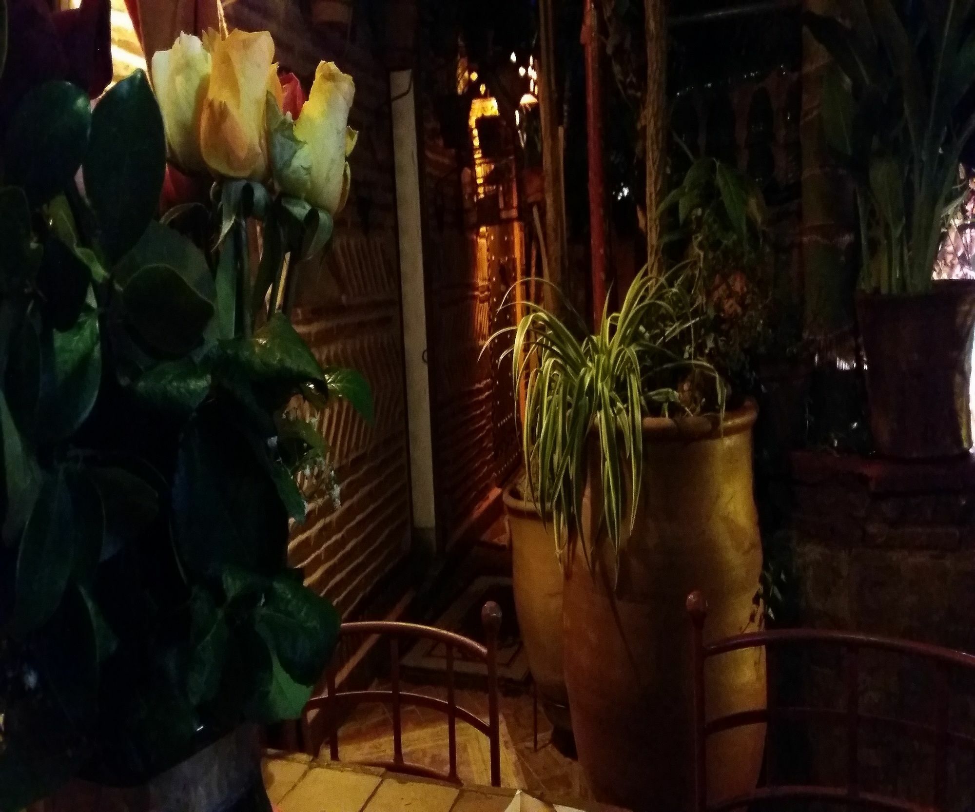 Riad Laith (Adults Only) Marakeş Dış mekan fotoğraf